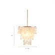 Pemberly Row Transitional Metal and Shells Capiz Chandelier in Gold/White