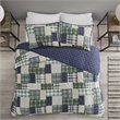 Pemberly Row Polyester Reversible Printed Coverlet Set in Green