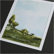 Pemberly Row Across The Plains 16x18
