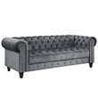 Pemberly Row 2 Piece Living room Furniture Velvet Fabric Modern Sofa Set -Gray