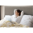 Pemberly Row Contemporary 9-Piece Comforter Set with Sheet in Yellow