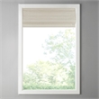 Pemberly Row Printed Faux Silk Room Cordless Roman Shade in Ivory 35x64