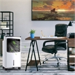 Pemberly Row Portable Cooler Fan Filter Humidify Anion W/ Remote Control - White