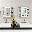 Pemberly Row Mount Wall Surface Bathroom Storage Cabinet Mirror White