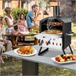 Pemberly Row 2 Layer Pizza Oven Wood Fired Grill Pizza Maker w/Waterproof Cover