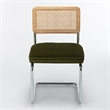 Pemberly Row Cane Back Velvet Side Chair (Set of 2) in Olive