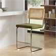 Pemberly Row Contemporary Counter Height Stools (Set of 2) in Olive