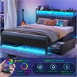 Pemberly Row Queen LED Bed with built in charging station and storage in Black