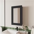Pemberly Row Contemporary Medicine Cabinet Engineered Wood Black