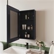Pemberly Row Contemporary Medicine Cabinet Engineered Wood Black