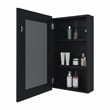 Pemberly Row Contemporary Medicine Cabinet Engineered Wood Black