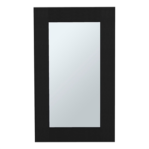 Pemberly Row Contemporary Medicine Cabinet Engineered Wood Black