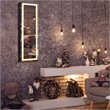 Pemberly Row Density Board & Wall/Door Mount LED Light Jewelry Cabinet in Black