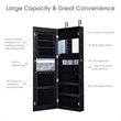 Pemberly Row Density Board & Wall/Door Mount LED Light Jewelry Cabinet in Black