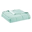 Pemberly Row Fabric Down Alternative Blanket with Satin Trim in Seafoam