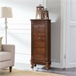 Pemberly Row MDF and Glass Jewelry Cabinet with 2 Swing-out Doors in Brown