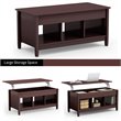 Pemberly Row Solid Wood Lift Top Coffee Table with Storage Shelves in Brown