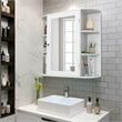 Pemberly Row Contemporary MDF Multipurpose Wall Cabinet with Mirror in White