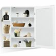 Pemberly Row Contemporary MDF Multipurpose Wall Cabinet with Mirror in White
