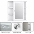 Pemberly Row Contemporary MDF Multipurpose Wall Cabinet with Mirror in White