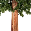 Pemberly Row 4/5/6' Alpine Artificial Christmas Tree Set with LED Lights - Green