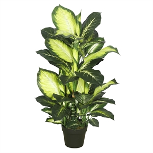 Pemberly Row Contemporary 40&quot Artificial Green and White Dieffenbachia