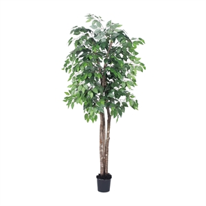 Pemberly Row 6' Artificial Ficus Deluxe Tree with Black Plastic Pot in Green