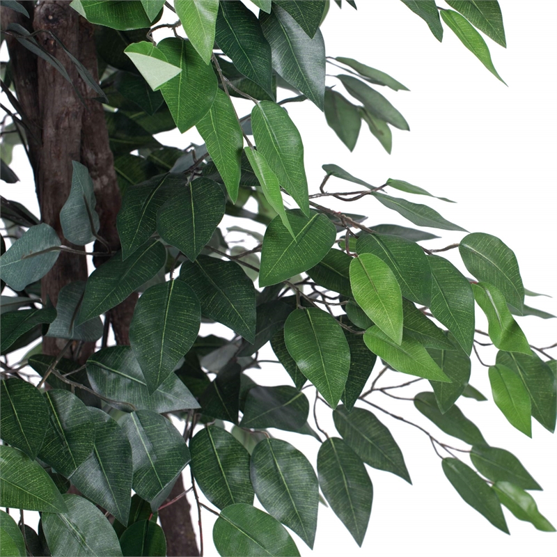 Pemberly Row 6' Artificial Ficus Deluxe Tree with Black Plastic Pot in Green