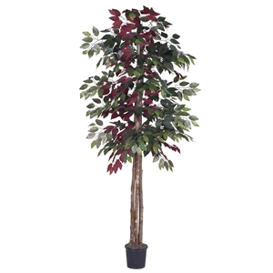 Pemberly Row 6' Artificial Capensia Deluxe Tree with Black Pot in Green/Red