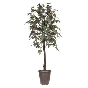 Pemberly Row 6' Artificial Frosted Maple Tree w/ Black Plastic Pot - Green/Brown