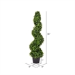 Pemberly Row 3' Plastic Artificial Potted Boxwood Spiral Tree in Green