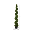 Pemberly Row 6' Plastic Artificial Potted Boxwood Spiral Tree with LED in Green