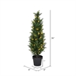 Pemberly Row 3' Contemporary Plastic Artificial Potted Cedar Tree w/ LED - Green