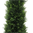 Pemberly Row 4' Contemporary Plastic Artificial Potted Cedar Tree in Green