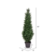 Pemberly Row 4' Contemporary Plastic Artificial Potted Cedar Tree in Green