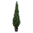 Pemberly Row 6' Contemporary Plastic Artificial Potted Cedar Tree in Green