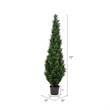 Pemberly Row 6' Contemporary Plastic Artificial Potted Cedar Tree in Green