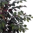 Pemberly Row 4' Artificial Capensia Extra Full Bush with Basket in Green/Red