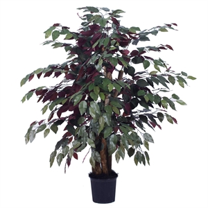 Pemberly Row 4' Artificial Capensia Extra Full Bush with Basket in Green/Red