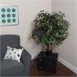Pemberly Row 4' Artificial Capensia Extra Full Bush with Basket in Green/Red