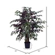Pemberly Row 4' Artificial Capensia Extra Full Bush with Basket in Green/Red