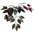 Pemberly Row 4' Artificial Capensia Extra Full Bush with Basket in Green/Red