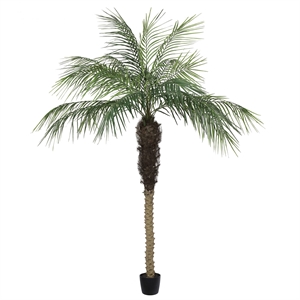 Pemberly Row Contemporary 7' Artificial Potted Phoenix Palm Tree
