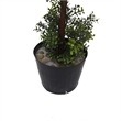 Pemberly Row 5' Plastic Artificial Triple Ball Boxwood Topiary in Green