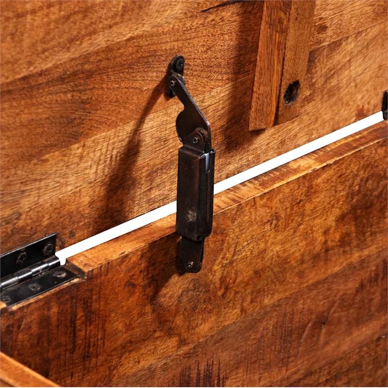 Pemberly Row Contemporary Grains Solid Mango Wood Storage Chest in Brown