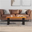 Pemberly Row Solid Teak and Mango Wood With Clear Coffee Table in Multicolour