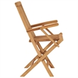 Pemberly Row Standard Collapsible Teak Wood Garden Chair (Set of 2)
