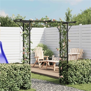 Pemberly Row 78.7 X 20.5 X 80.3&quot Durable Iron Garden Arch in Black