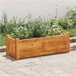 Pemberly Row Rectangular Large Acacia Wood Raised Bed in Warm Rustic