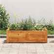 Pemberly Row Rectangular Large Acacia Wood Raised Bed in Warm Rustic